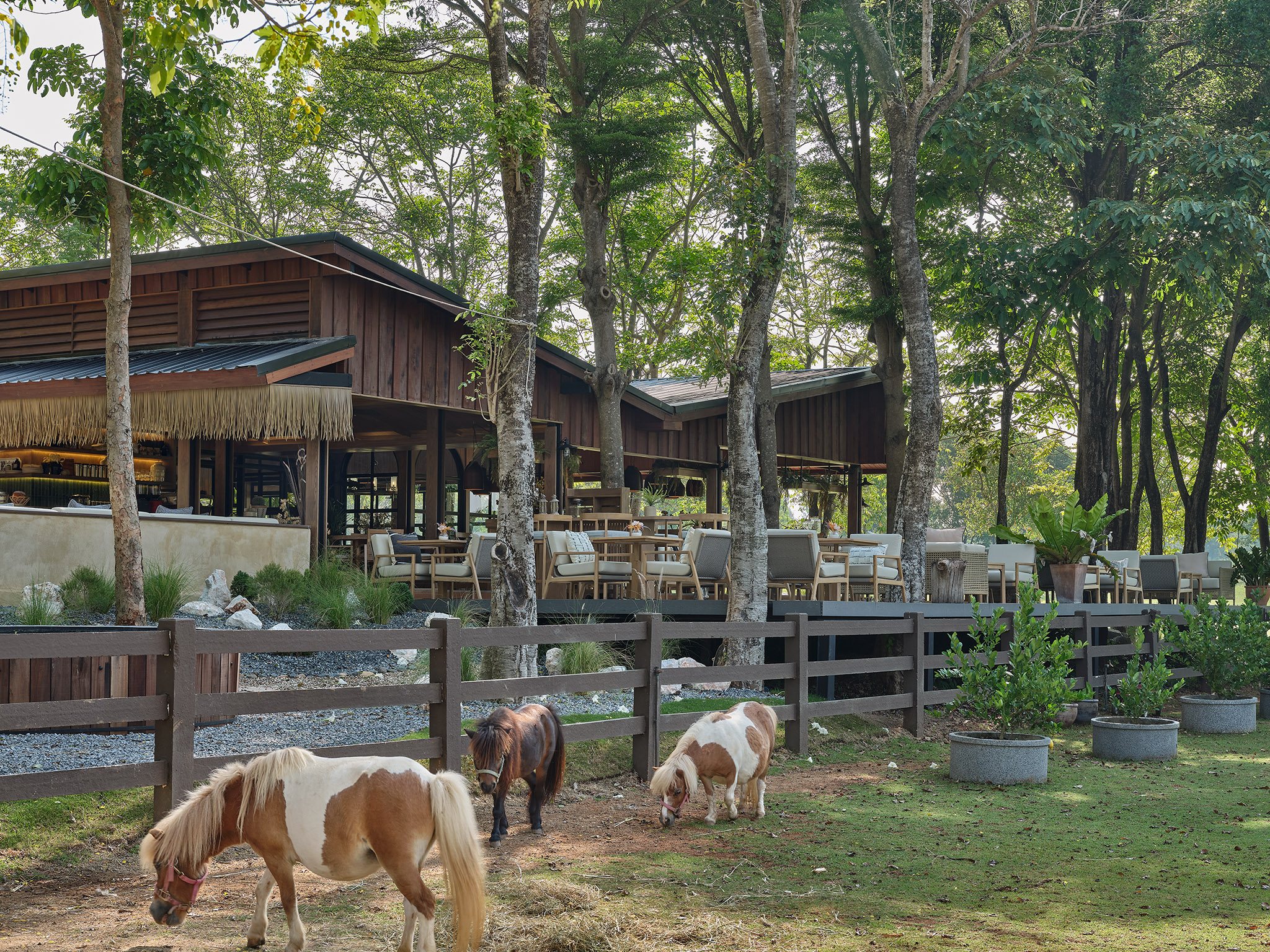 the Trot at Rancho Charnvee Resort and Country Club 5